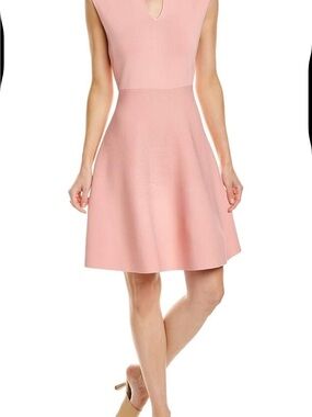 Ted Baker Blush Pink Dress – Size 1